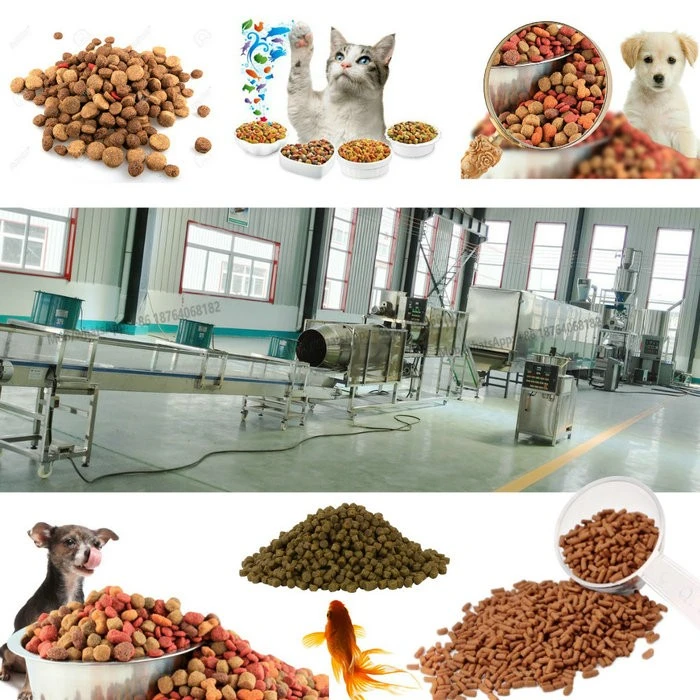 Fish Feed Extruder Process Machine